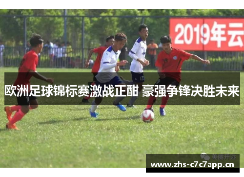 欧洲足球锦标赛激战正酣 豪强争锋决胜未来